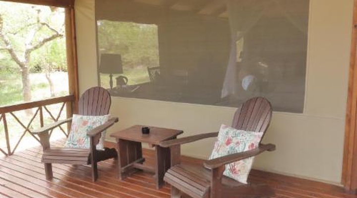 Lion Tree Top Lodge