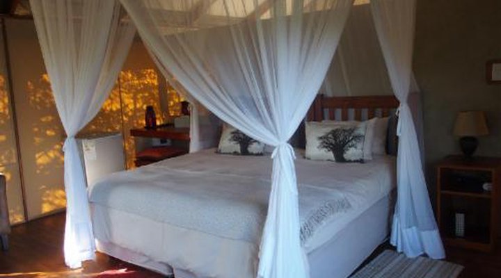 Lion Tree Top Lodge