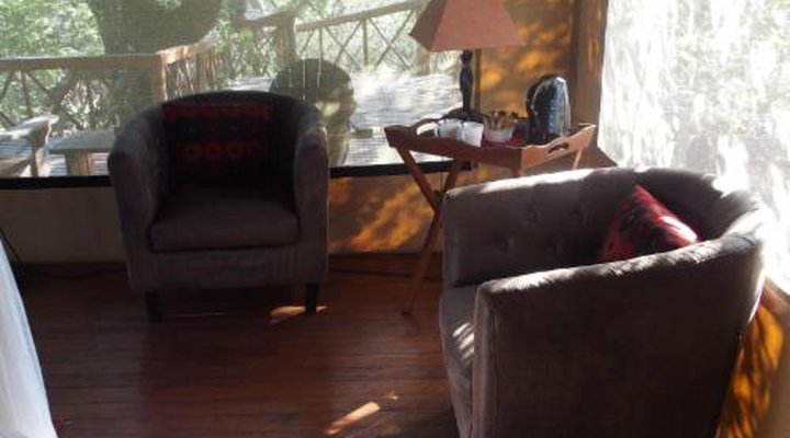 Lion Tree Top Lodge