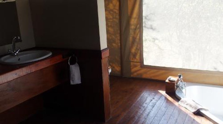 Lion Tree Top Lodge