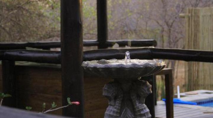 Hoedspruit Raptors Lodge No 16