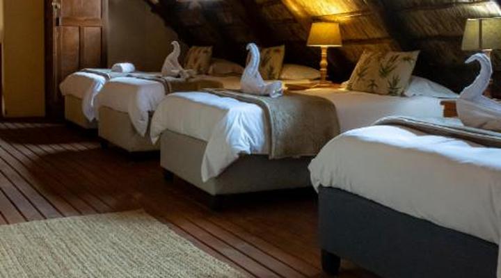 Tshikwalo Lodge