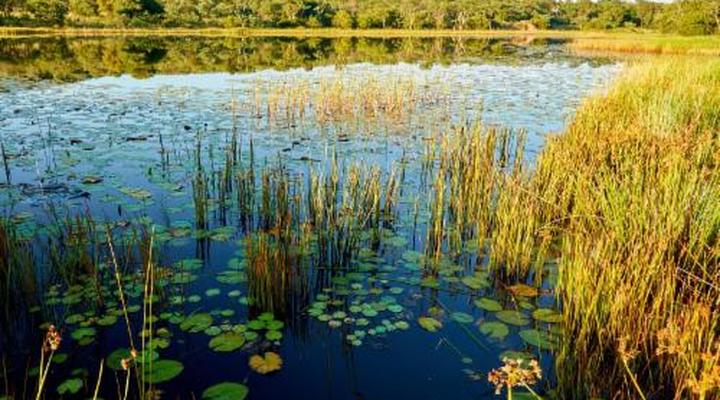 Lindani Game and Lodges