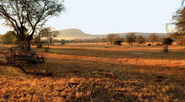 Lindani Game and Lodges