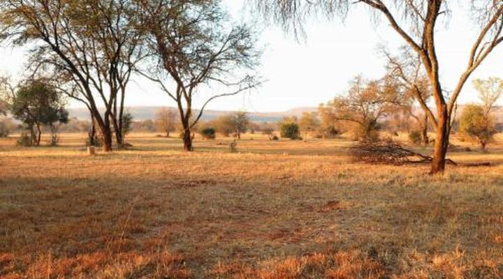 Lindani Game and Lodges