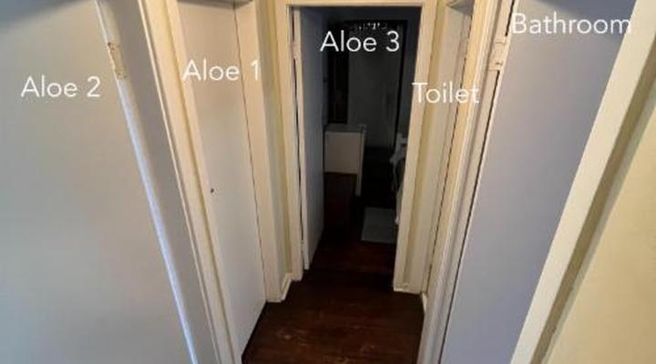 Ansteys Beach Self-Catering and Backpackers