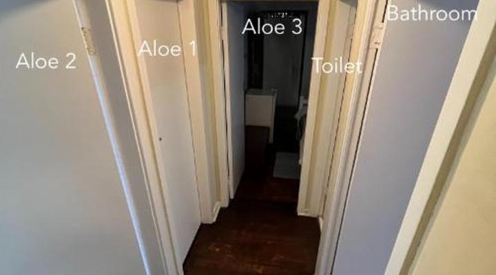 Ansteys Beach Self-Catering and Backpackers