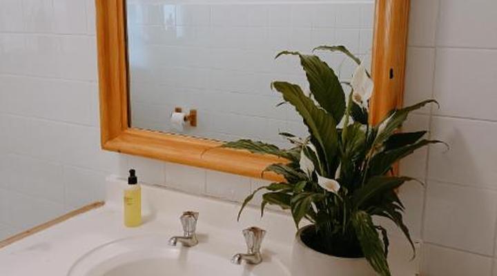 John Bauer Pottery Studio