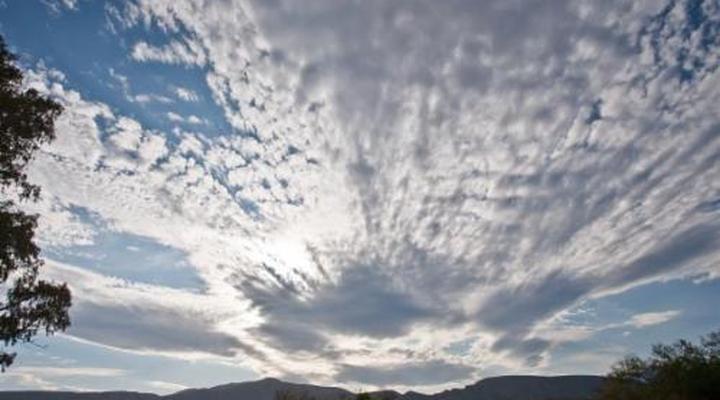 The Queen of Calitzdorp