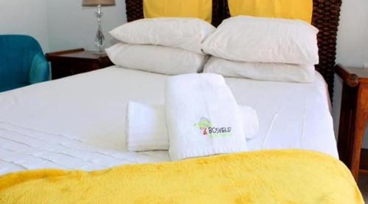 Bosveld Guest House