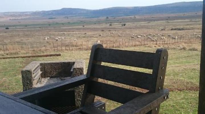 Springwater Cottages