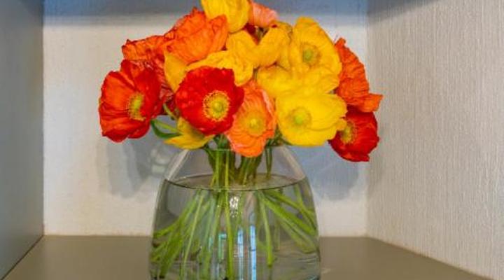 Woodall Country House & Spa