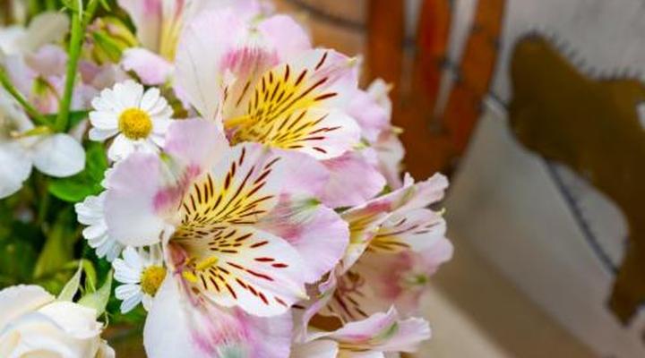 Woodall Country House & Spa