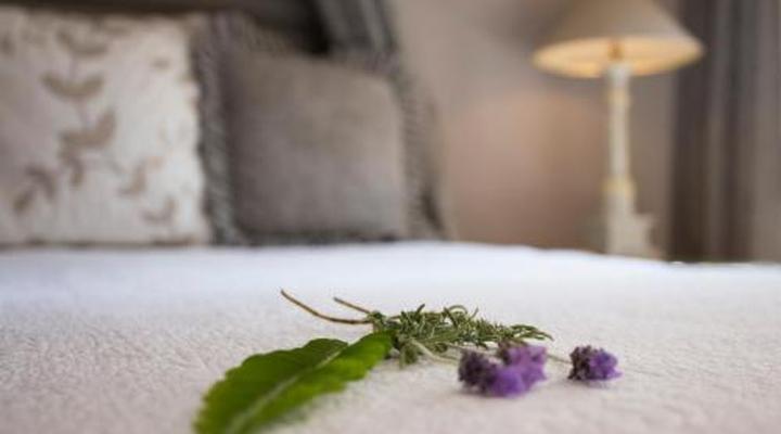 Leeuwenhof Country Lodge & Garden Spa