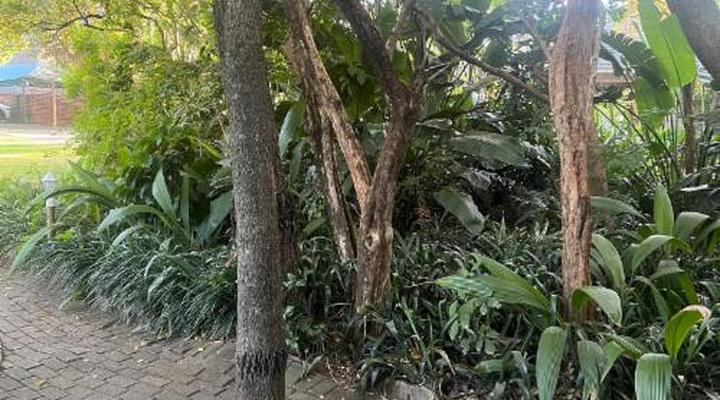 Shingalana Guest House