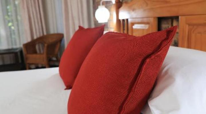 Shingalana Guest House