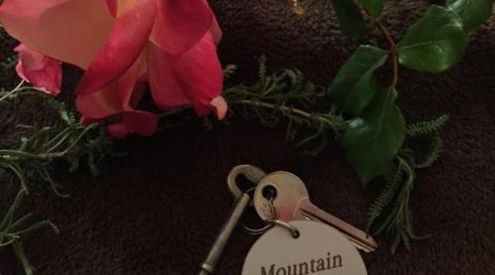 Harfield Guest Villa