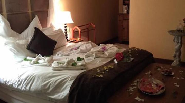 Harfield Guest Villa