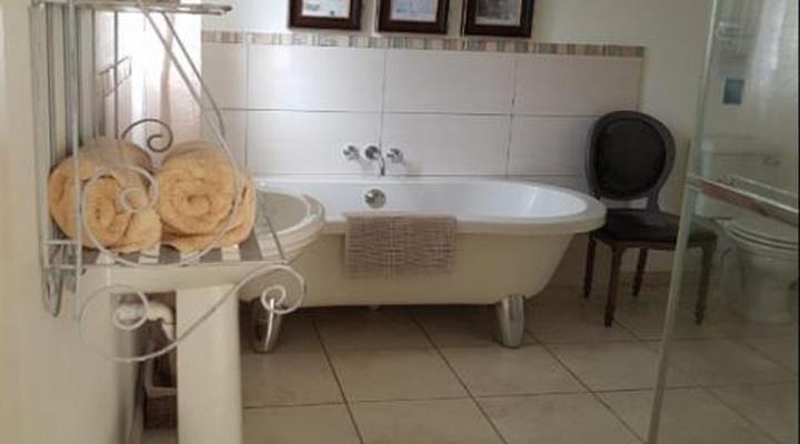 De Hollandsche Molen