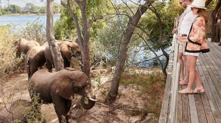Victoria Falls River Lodge