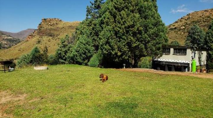 Old Mill Drift Guest Farm