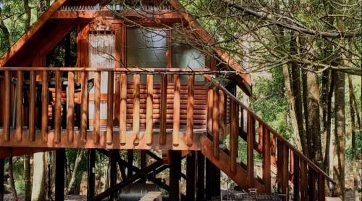 Plett Forest Cabins