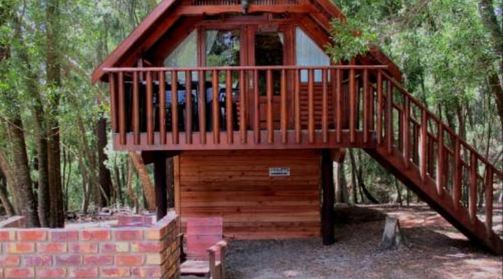 Plett Forest Cabins