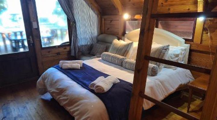 Plett Forest Cabins