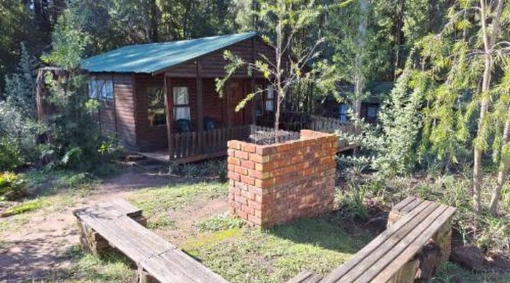 Plett Forest Cabins