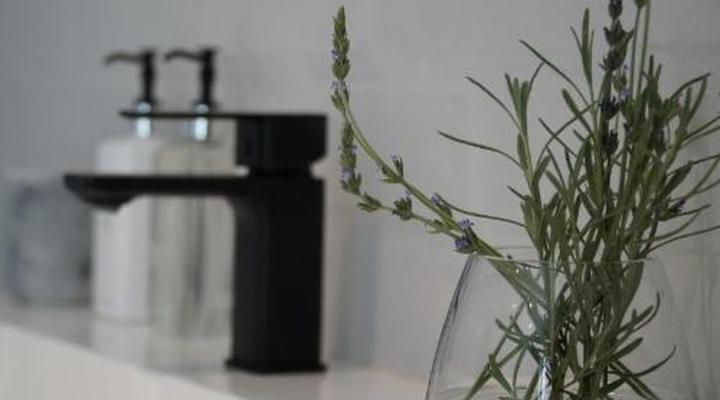 Stellenhof Guesthouse