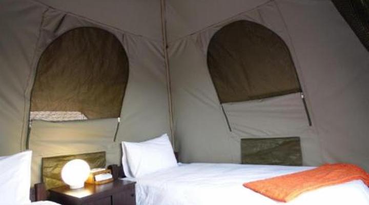 Budget Tented Village @ Urban Glamping