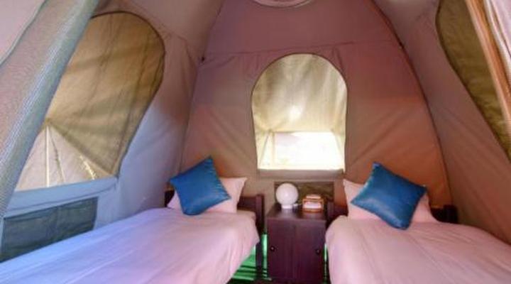 Budget Tented Village @ Urban Glamping
