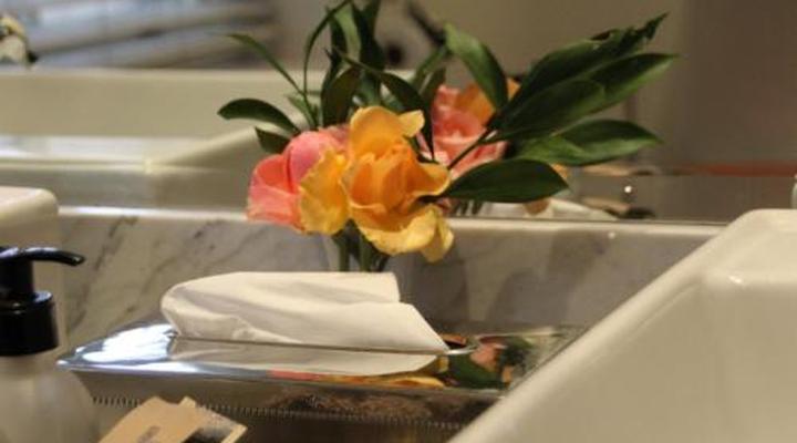 Jan Harmsgat Country House