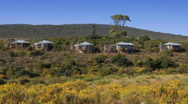 Garden Route Game Lodge