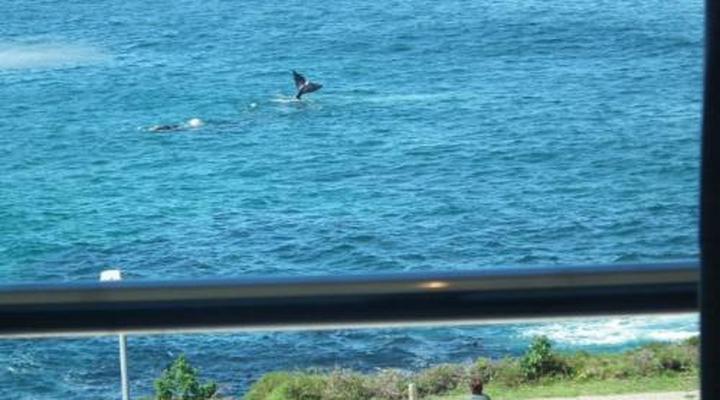 Misty Waves Boutique Hotel