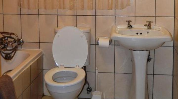 Log cabin & Settlers village