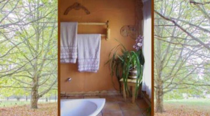 Sycamore Avenue Treehouses