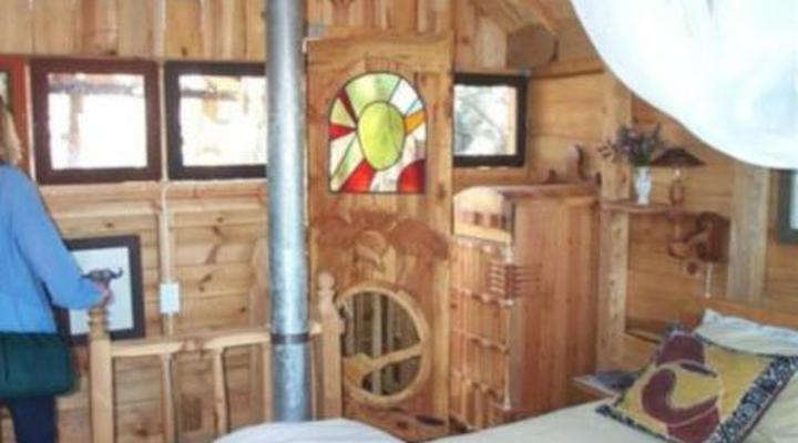 Sycamore Avenue Treehouses