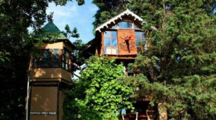 Sycamore Avenue Treehouses