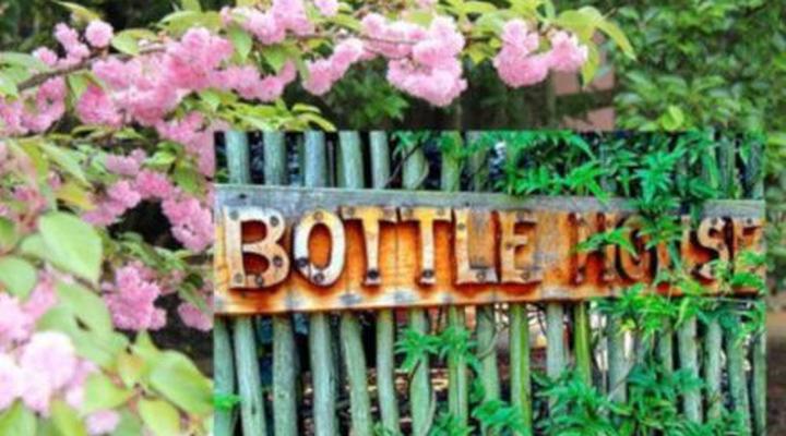 Sycamore Avenue Treehouses