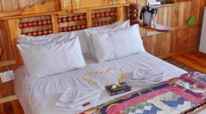 Sycamore Avenue Treehouses