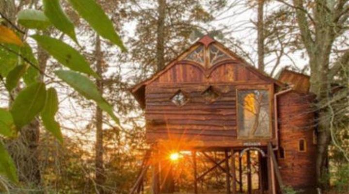 Sycamore Avenue Treehouses
