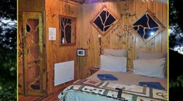 Sycamore Avenue Treehouses