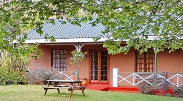Sycamore Avenue Treehouses