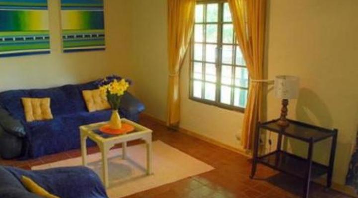 Sycamore Avenue Treehouses