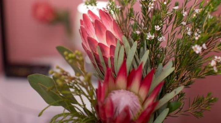 Mountain Manor Guest House