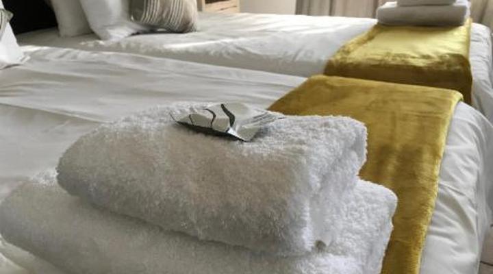 Bush Pillow Guest House