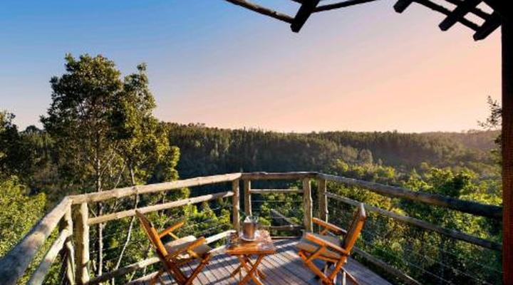 Tsala Treetop Lodge and Villas
