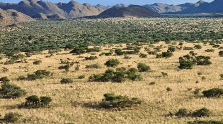 Tswalu Kalahari Reserve