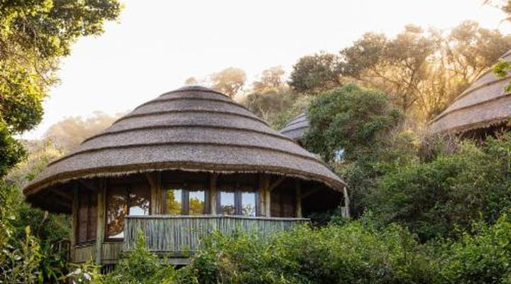 Thonga Beach Lodge